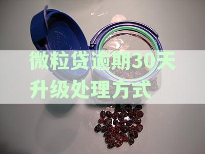 微粒贷逾期31天处理指南：逾期后果、解决方案及后续影响分析