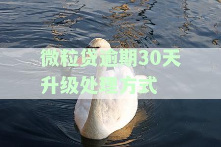 微粒贷逾期宽限几天：如何计算、处理及影响，逾期多久需一次还清