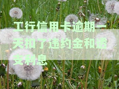 中国工商银行信用卡逾期一天产生的违约金、滞纳金及可能的影响详解