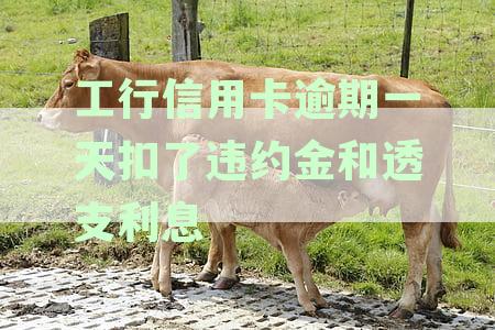 工行信用卡逾期一天扣了违约金和透支利息