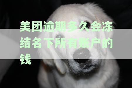 美团逾期会冻结账户吗：逾期账户、财产冻结及银行卡冻结时长解析