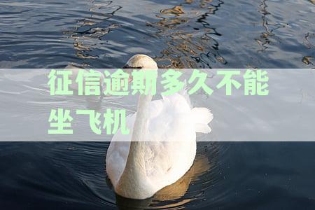 征信逾期多久不能坐飞机高铁，及购票限制详解