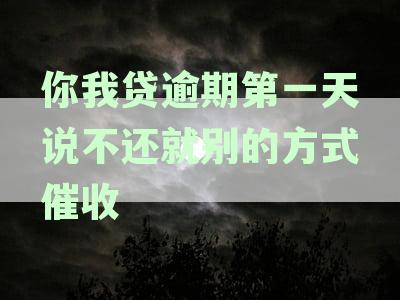 你我贷逾期第一天说不还就别的方式催收