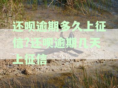 逾期资讯：还呗逾期几天会上征信，逾期后果有多严重？详探影响与解决方法