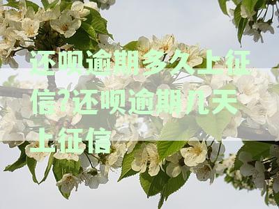 还呗逾期还款对征信影响解析：多久会上征信及逾期后果详解