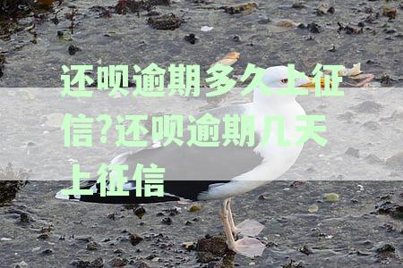 还呗逾期多久上征信?还呗逾期几天上征信