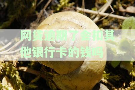 网贷逾期了会扣其他银行卡的钱吗
