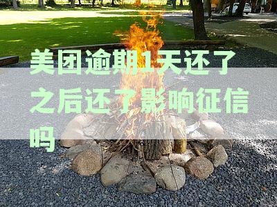 美团逾期1天还款后会影响征信吗，还款逾期一天是否影响信誉及应对措