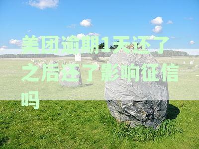 美团借款逾期仅一天还款后，天还会影响征信吗？如何应对逾期影响