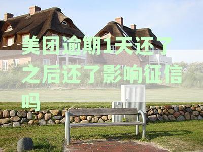 美团还款逾期一天对个人信用记录的影响与应对措分析