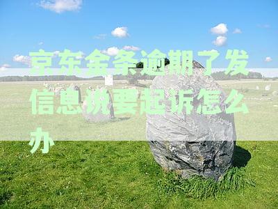 京东金条逾期超500元恐面临起诉：逾期后果、应对策略与法律维权指南
