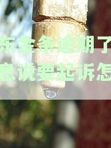 京东金条逾期发短信申请立案了真的假的，称要起诉并上p2p