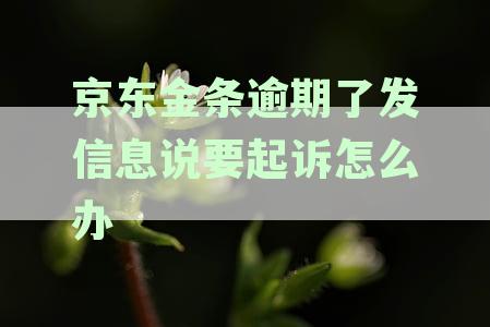 京东金条逾期通告函处理指南：解决逾期问题及应对措详解