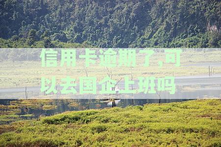 信用卡逾期了，可以去国企上班吗，能否考公务员及出国影响分析