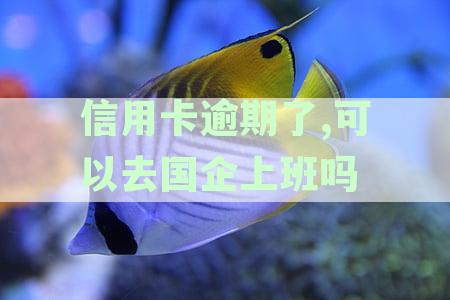 信用卡逾期对公务员政审影响如何：逾期记录是否可以不影响考公务员