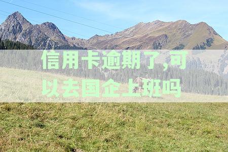 有信用卡逾期的人，可以出国吗？欠款逾期者出国打工受限情况解析