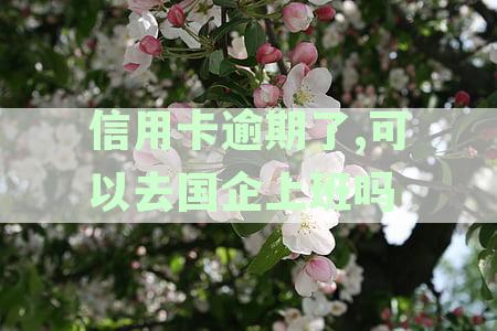 信用卡逾期了,可以去国企上班吗