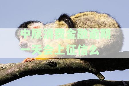 中原消费金融逾期一天要紧吗：还款影响、上征信问题及逾期一个月后果详解