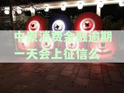 中原消费金融逾期一天后立即还款，信用记录及后续贷款影响解析