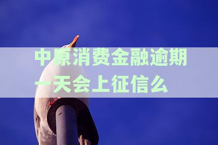 中原消费金融逾期一天会有多少利息，逾期1-8天影响解析及上征信风险