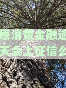 中原消费金融逾期一个月会有什么后果？逾期影响怎么处理与解决？