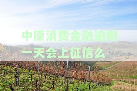 中原消费金融逾期一天会上征信么