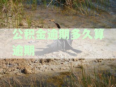 公积金贷款逾期对征信影响详解：时间节点、逾期后果及解决方案