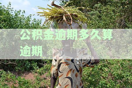 公积金逾期多久会上征信报告吗：逾期几天影响征信，几年后记录消除时间