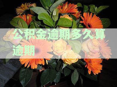 公积金逾期多久算逾期