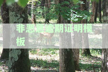 全面指南：如何撰写及获取非恶意逾期证明模板与开具流程