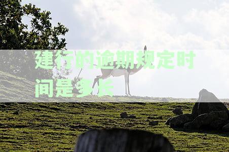 中国建设银行信用卡逾期还款规定及宽限期详解