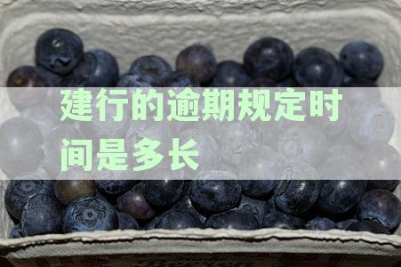 建行的逾期规定时间是多长