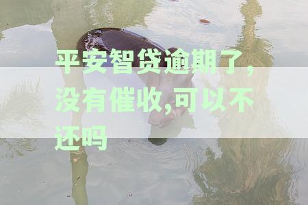 平安智贷逾期了,没有催收,可以不还吗