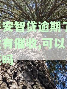 平安智贷逾期了,为什么没有给我打电话-平安智贷逾期了,为什么没有给我打电话呢