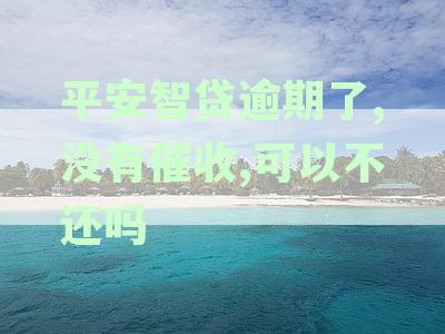 平安贷款逾期不还，会有什么后果？怎么处理逾期贷款问题？