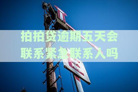 拍拍借款逾期五天会联系紧急联系人？催收是否会拨打通讯录电话进行催收？