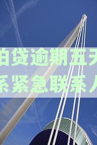 拍拍贷逾期5天：潜在后果、影响及后续借款可能性解析