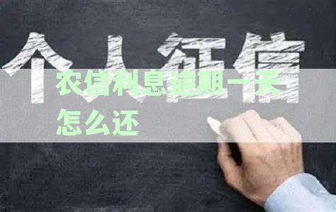 农信利息逾期还款难题解析：逾期一天为何还款失败及解决策略