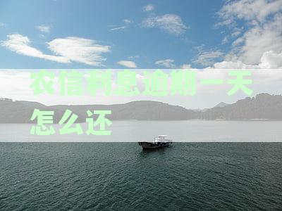 农信利息逾期一天怎么还