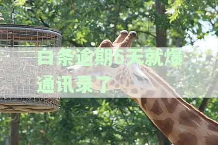 全方位解析逾期无力还款应对策略：有效解决债务困境指南