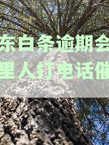 逾期催收全解析：是否会联系家人？如何保障个人隐私与催收安全？