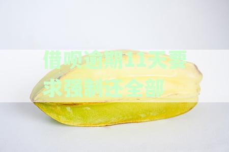 借呗逾期11天面临强制还款：如何应对全面还款要求及避免后续问题