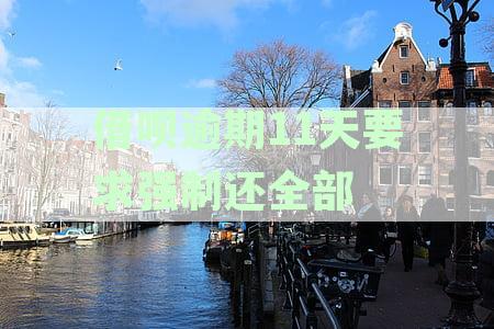 借呗逾期11天要求强制还全部