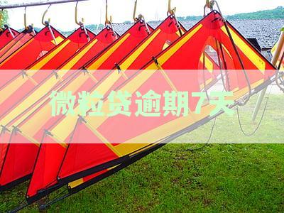 微粒贷逾期7天还影响征信吗：逾期处理与再次借款可能受影响解析