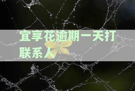 宜享花逾期一天打联系人