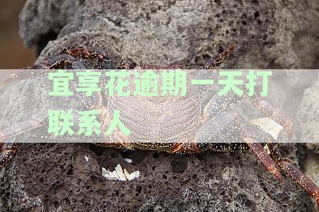 宜享花逾期一天打联系人