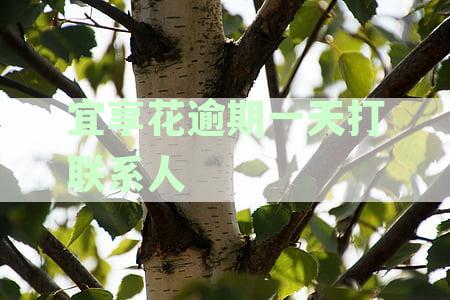 宜享花逾期一天打联系人
