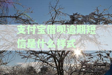 支付宝借呗逾期发短信：上门、起诉、警方介入、户地、律师函是否真实？