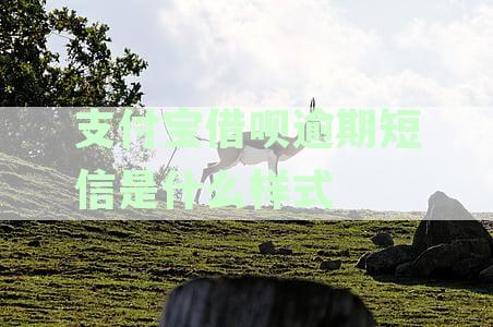 支付宝借呗逾期：催收短信内容科普与处理资讯全解读