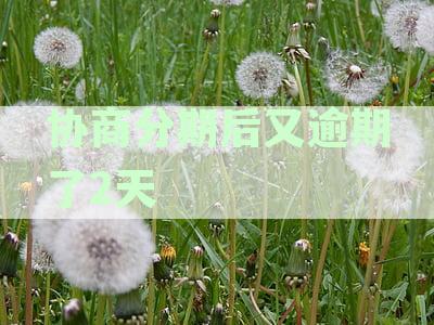 协商分期后又逾期了2天算逾期吗-协商分期后又逾期了2天算逾期吗怎么办